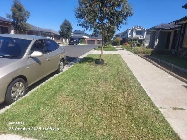 The same street’s nature strip after mowing — grass cut short and edged along the footpath