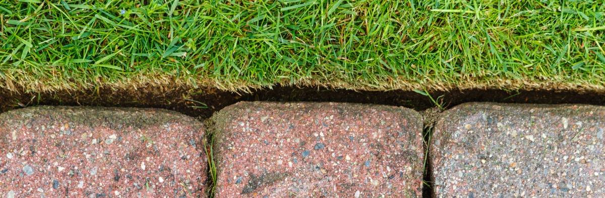 A freshly cut lawn edge, trimmed in a clean line along brick pavers